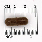 Nature's Way Black Elderberry 100 capsules 3