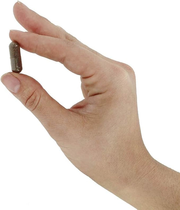 Nature's Way Black Elderberry 100 capsules 3