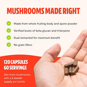 FreshCap, Organic Reishi Mushroom Capsules, 120 60 Day