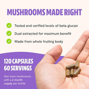 FreshCap Lions Mane Supplement Capsules (120ct)