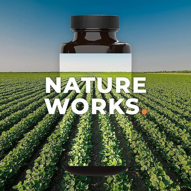 LifeSeasons Prostate Support Supplement - Saw Palmetto, Phytosterol, Zinc, Nettle, Vitamin D-3 & B6 - Promote Healthy Prostate Function & Normal Urinary Flow - Improve Tissue - 60 Softgels (Pack of 2)