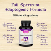 Dragon Herbs Super Adaptogen (100 Capsules, 500 mg