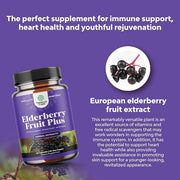 Black Elderberry Capsules Antioxidant Supplement