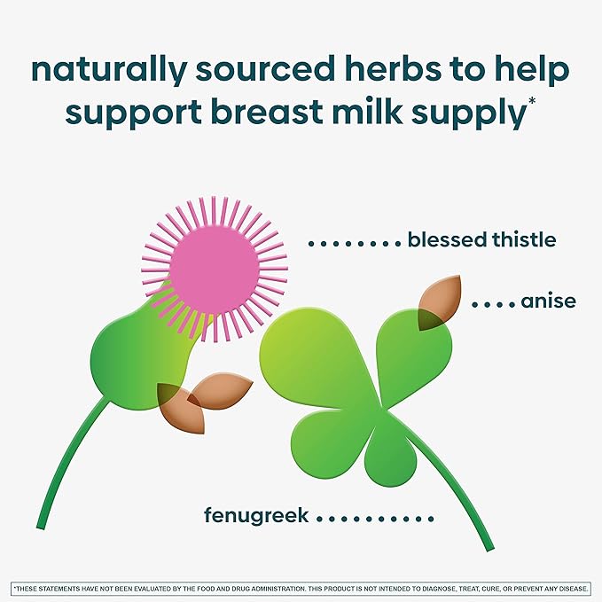 UpSpring Milkflow Lactation Supplement Drink Mix 18 Servings