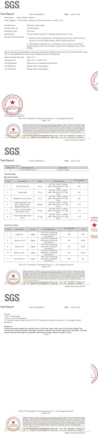 Berberine Supplement with Ceylon Cinnamon - Berberine Liquid Drops with Turmeric Curcumin, Ceylon Cinnamon, Bitter Melon, Berberine Phytosome for Digestion System, Immune Health Support -Vegetarian