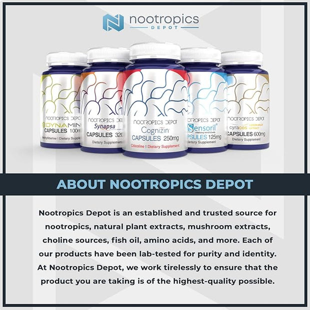 Nootropics Depot GS15-4 Panax Ginseng Extract Capsules 200mg | 60 Count