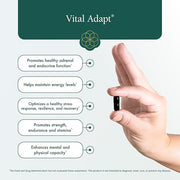 Natura Health Products Vital Adapt Supplement (60 Capsules)