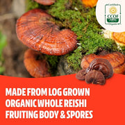 FreshCap, Organic Reishi Mushroom Capsules, 120 60 Day