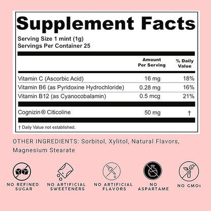 NOOZ Focus Mints 12-Pack - Caffeine-Free Brain Booster for Mental Clarity - Fresh Mint Flavor | Sugar-Free, Travel-Friendly Supplement with Vitamins C, B6, B12 - Non-GMO, Clean Label, 300 Mints
