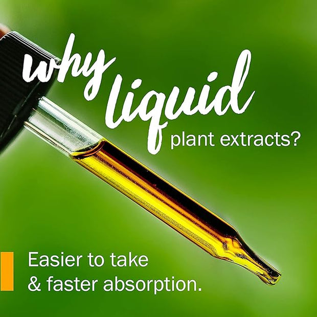 Herb Pharm Certified Organic Elder Liquid Extract 1 Ounce