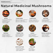 ACEWORKZ Mushroom Nootropic Brain Supplement 10 Mushroom (90 Capsules)