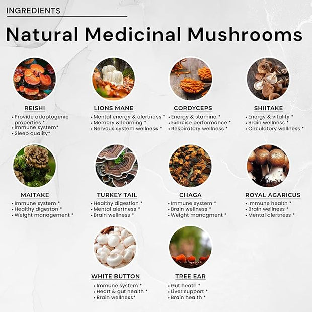 ACEWORKZ Mushroom Nootropic Brain Supplement 10 Mushroom (90 Capsules)