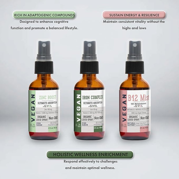 Iron Support Spray Bundle Liquid Vitamin B12 Methylcobalamin, 2 Fl 360 Days