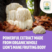 FreshCap Lions Mane Supplement Capsules (120ct)