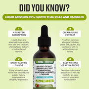 Ashwagandha Liquid Drops Infused with Magnesium, 60mL)