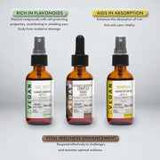 Digestive Harmony Bundle LIQUID Vitamin Trio 2 Fl 240 Days