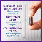 New Chapter Vegan Elderberry Capsules 64x Concentrated 60 Count