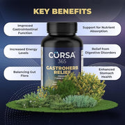 Gastroherb Relief 7 Herbs Extract 90 Softgels