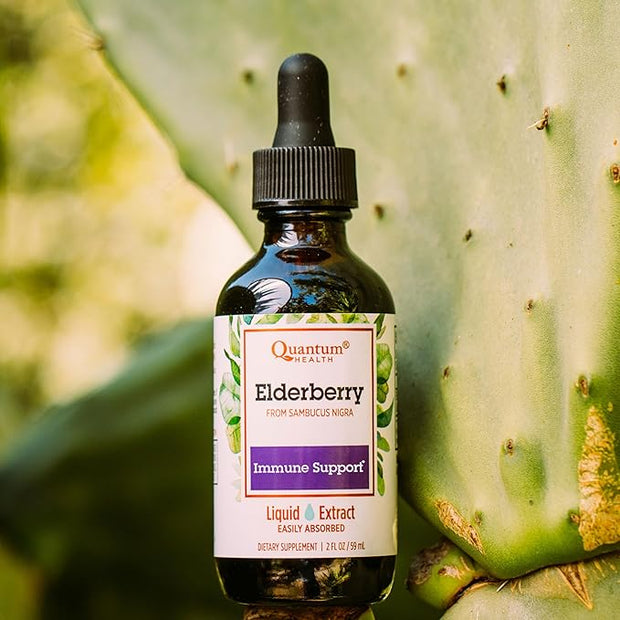 Quantum Health Black Elderberry Liquid Extract 700mg - 2 Fl