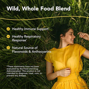 NORTH AMERICAN HERB & SPICE Elder-C 60 Capsules P73 - 30 Servings