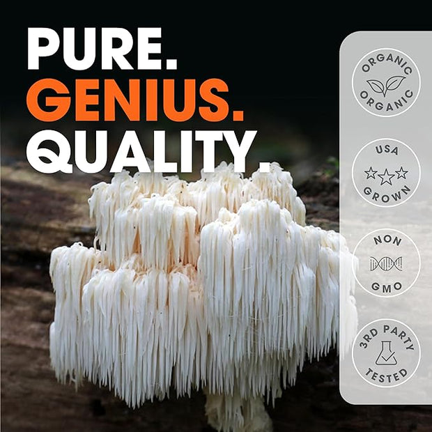 Genius Lions Mane Supplement Capsules 1200mg per 120 Veggie