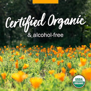 Herb Pharm Certified Organic Elder Liquid Extract 1 Ounce 2)
