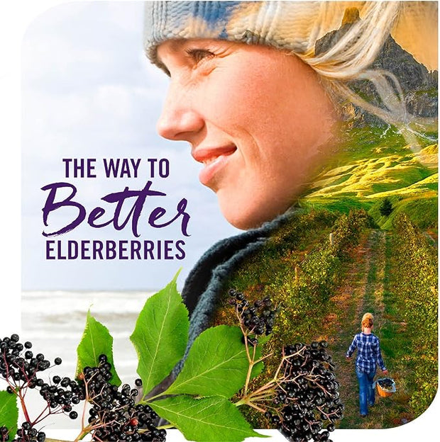 Nature's Way Sambucus Elderberry Drops 6400mg of 1 mL, 1 Fl.