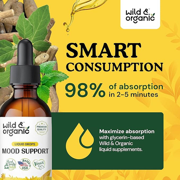 Mood Support Drops 2 oz