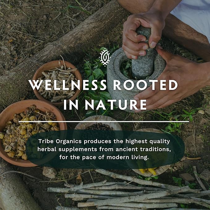 TRIBE ORGANICS Organic Shatavari Herbal Supplement - Hormonal Balance | Women’s Reproductive Health | Lactation | Immune & Inflammatory Support - Non-GMO USDA Organic 120 Vegan Capsules