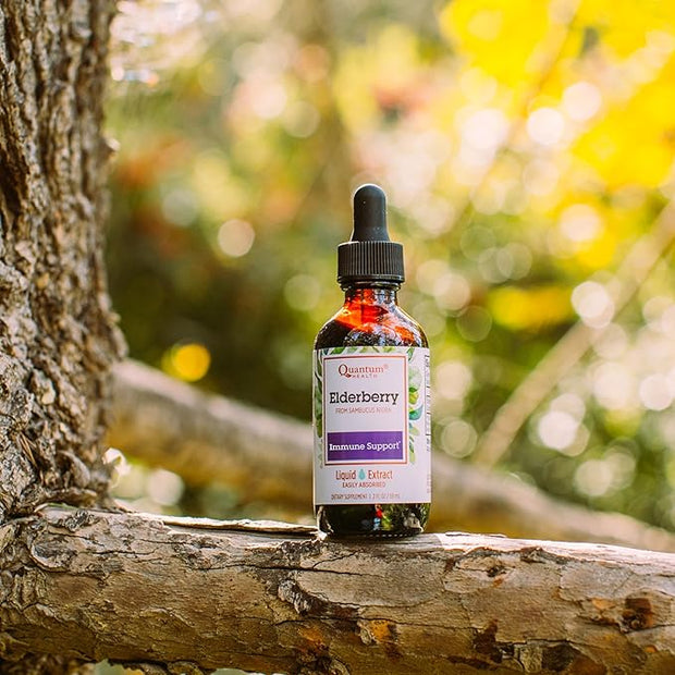 Quantum Health Black Elderberry Liquid Extract 700mg - 2 Fl