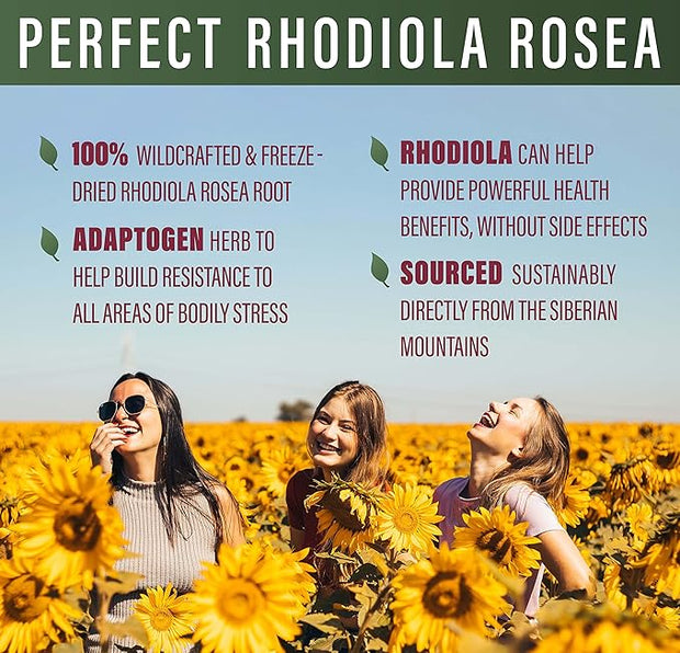 Perfect Supplements – Perfect Rhodiola Rosea 60 Capsules 2 Pack