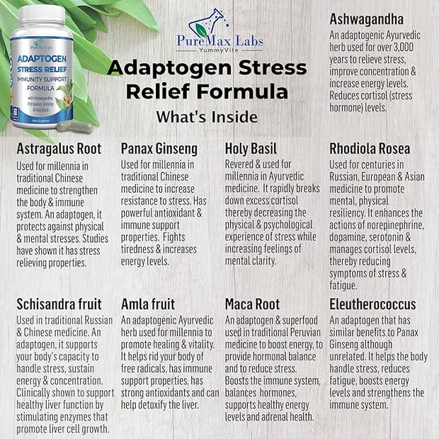 Adaptogen Stress Relief Immune Support Formula 60 Capsules