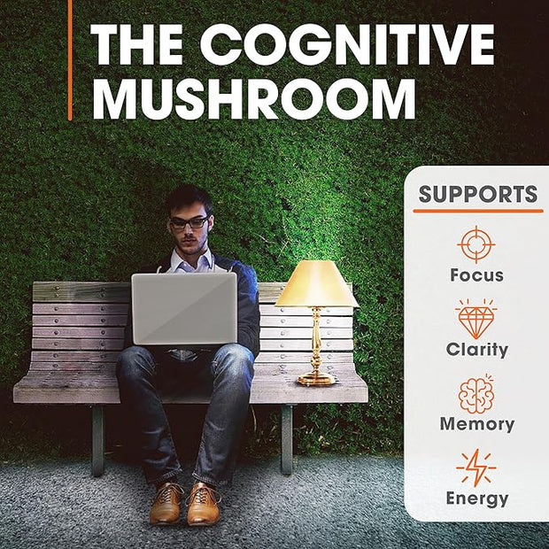 Genius Lions Mane Supplement Capsules 1200mg per 120 Veggie