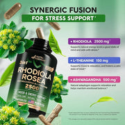 Rhodiola Rosea Supplement 2500mg 5:1 | 3% Salidroside 2 Month 60 Capsules