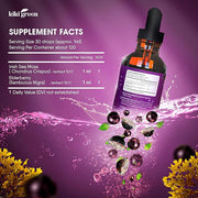 Liquid Irish Sea Moss + Elderberry Drops 2 Fl