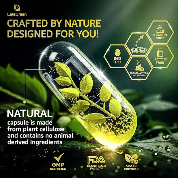 Organic Hawthorn Berry Capsules 2000mg with 2500mg Rhodiola 4000mg Olive 1000mg Shiitake 1000mg Reishi 1000mg Quercetin 150mg